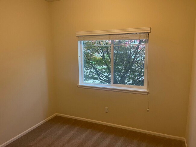 Foto del edificio - Gorgeous 5 Bedroom Home for Rent In South ...
