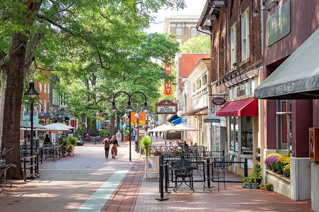 Foto del edificio - Charming Downtown Charlottesville Apartmen...