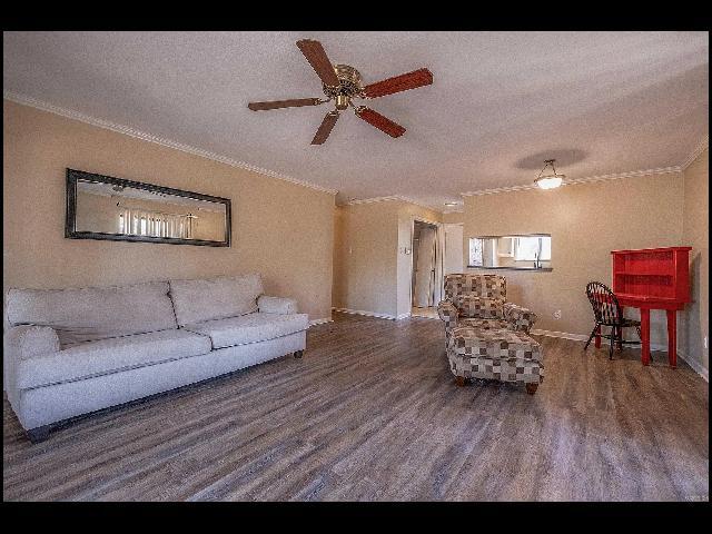 Foto del edificio - 503 Green Mountain Cir