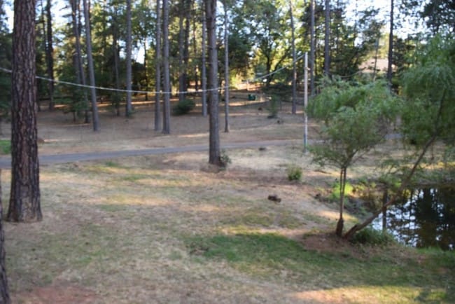 Building Photo - 10682 Quail Creek Rd