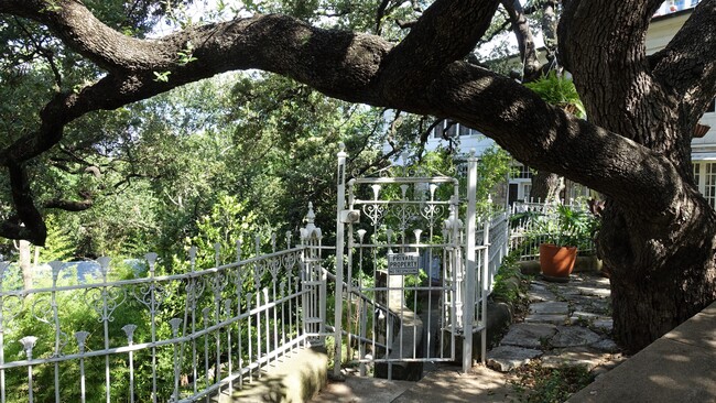 Entrance Gate - 704 San Antonio St