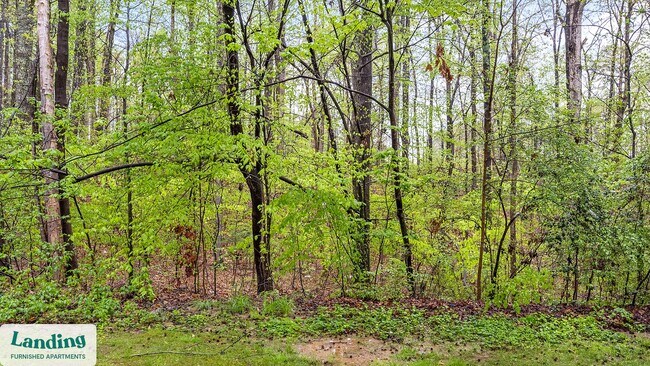 Building Photo - 2030 Northcliffe Dr