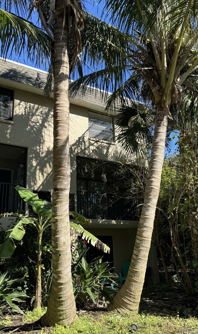 Building Photo - 1030 Pinetree Dr