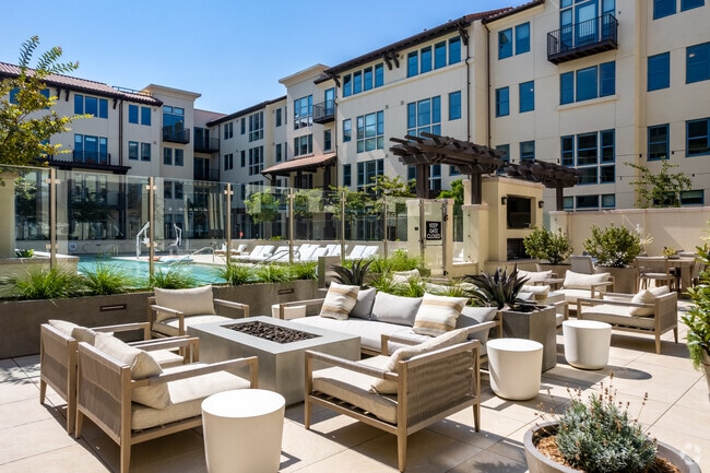 Courtyard - Springline