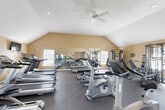 Located at 1600 West Creek Village Drive in Elkton, Maryland, this well-appointed fitness center offers a generous, open single-floor layout designed to accommodate a comprehensive workout experience. The space is defined by its striking vaulted ceilings, which peak dramatically at the roofline and lend a sense of openness and airiness throughout. Warm beige walls complement the bright, inviting atmosphere created by multiple windows — including a prominent arched window — that flood the interior with natural light and offer views of the surrounding outdoor greenery.

The durable rubber flooring provides both safety and comfort underfoot, covering the entire workout area. A large wall-mounted mirror spans a significant portion of one side of the room, visually expanding the space and allowing exercisers to monitor their form. Cardio equipment is well-represented, with multiple treadmills, elliptical machines, and stationary and recumbent bikes arranged in organized rows. The strength training section includes cable machines, free weights, dumbbells, medicine ball racks, and various benches. Ceiling fans and recessed lighting ensure comfort during any workout. Wall-mounted televisions are positioned for easy viewing. A water cooler station adds a practical convenience. The space also includes additional rooms accessible via interior doors, suggesting restroom or storage facilities nearby.