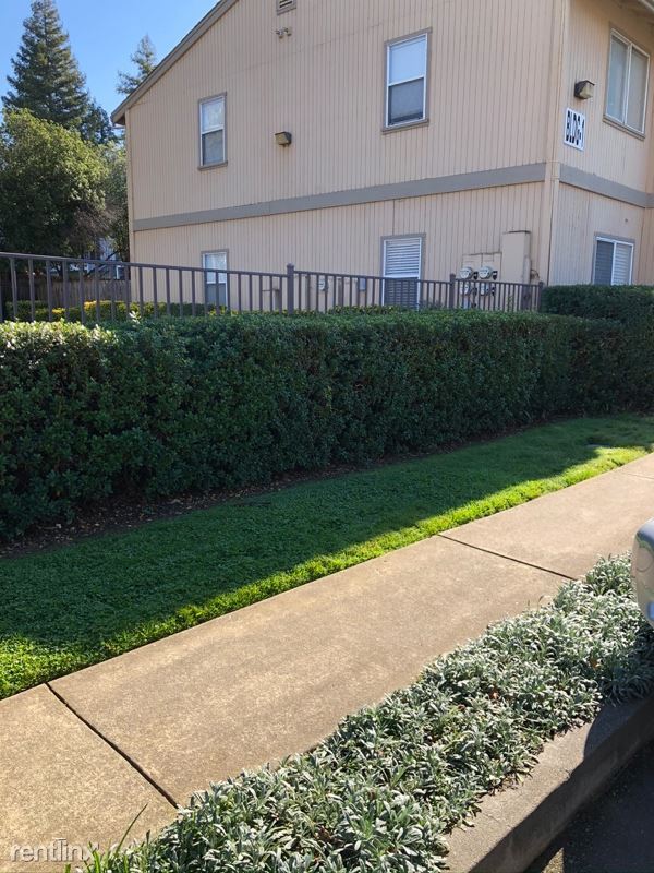 Building Photo - 2 br, 2 bath Apartment - 3930 Hollister Ave
