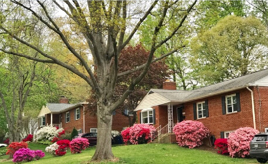 3203 Patrick Henry Dr, Falls Church, VA 22044 House Rental in Falls Church, VA