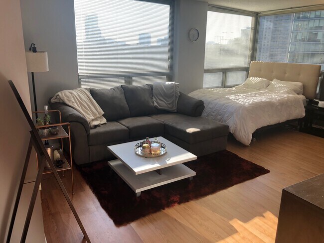 Living Room - 440 N Wabash Ave Apartment