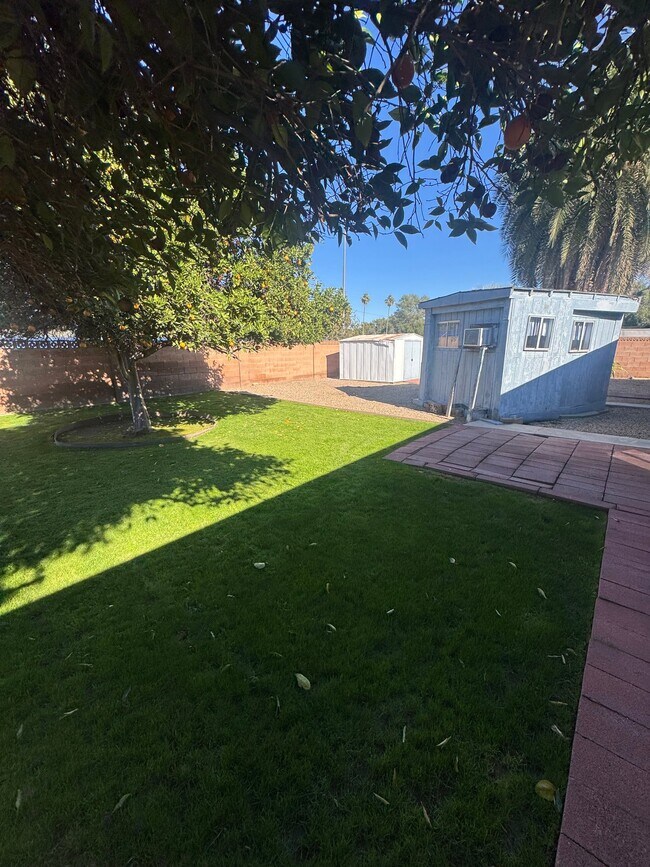 Foto del edificio - 3410 E Shaw Butte Dr