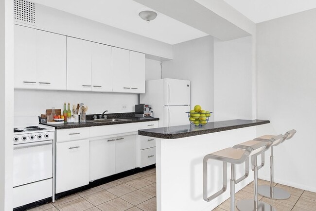 1-BR/1BA Kitchen - 350 W. Oakdale