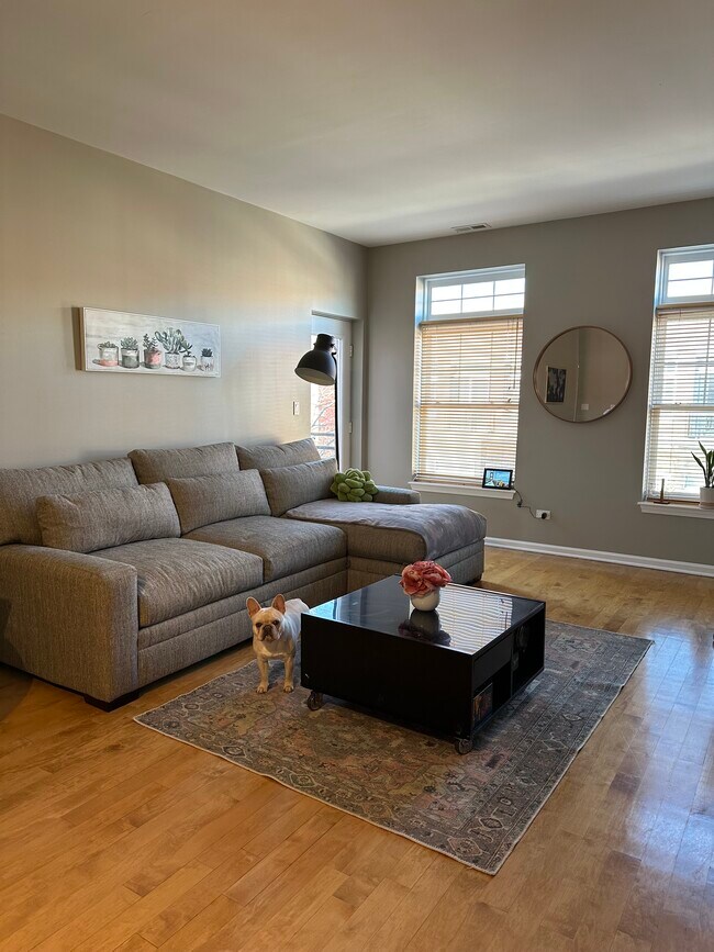 Living Room - 807 W University Ln
