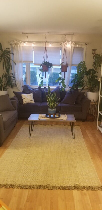 Foto principal - 11 Stearns Ave
