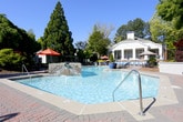 This outdoor recreational space centers around a large, pristine swimming pool framed by an expansive cobblestone paver patio. Rows of blue lounge chairs line the poolside, offering ample space for relaxation, while umbrella-shaded tables and chairs provide convenient spots for outdoor dining and socializing. The patio is thoughtfully maintained, with low retaining walls defining the perimeter and anchoring the layout.

The surrounding landscape is a standout feature, with mature trees — including ornamental maples and towering conifers — casting dappled shade across the grounds. Manicured garden beds, ornamental grasses, and layered shrubbery with rich mulching add color and texture throughout, creating a lush, park-like atmosphere.

A charming white clubhouse building serves as the architectural focal point of the space. Featuring classic details such as shuttered windows, a covered porch with ceiling fans, and a welcoming entrance, the structure exudes a timeless, residential character. Paved walkways wind through the landscaped grounds, connecting the clubhouse to the pool deck and surrounding areas. The overall ambiance is serene and inviting, blending functional amenities with carefully curated greenery for a resort-inspired outdoor experience.