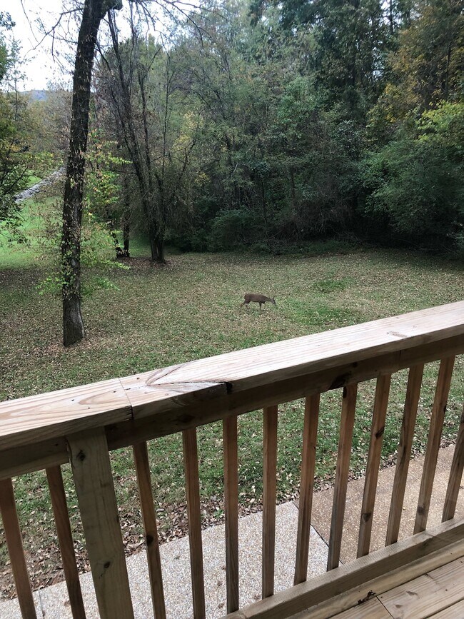 Foto del edificio - 8282 Collins Rd