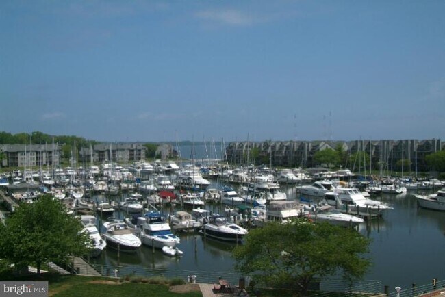 Foto del edificio - 7036 Harbour Village Ct
