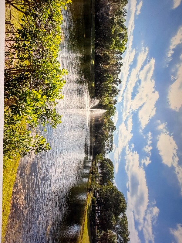 Foto del edificio - 900 Crestwood Ct S