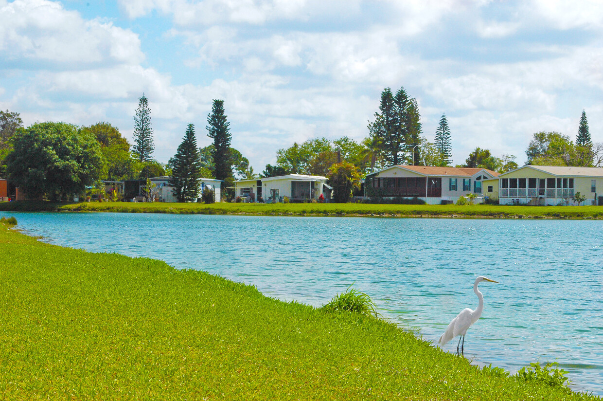 Primary Photo - Island Vista Estates