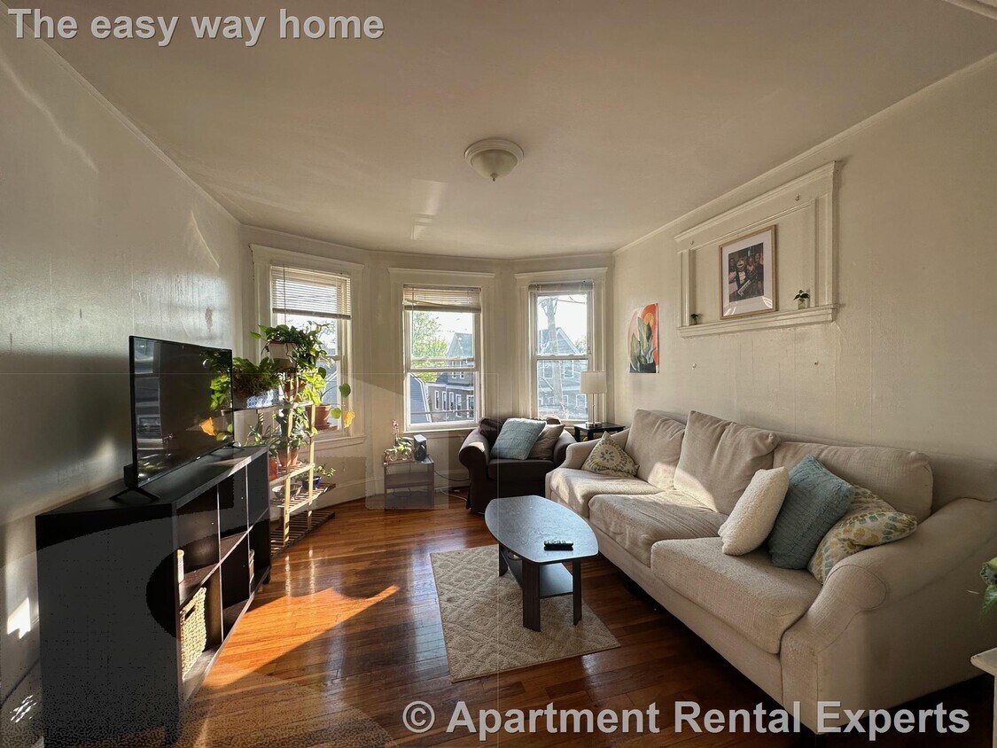 Primary Photo - 223 Summer St