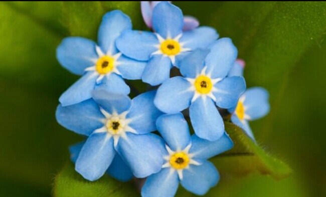 Building Photo - 301 Beulah Circle