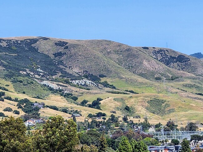 Foto del edificio - Beautiful Tuscan Style Home in SLO-Coming soon