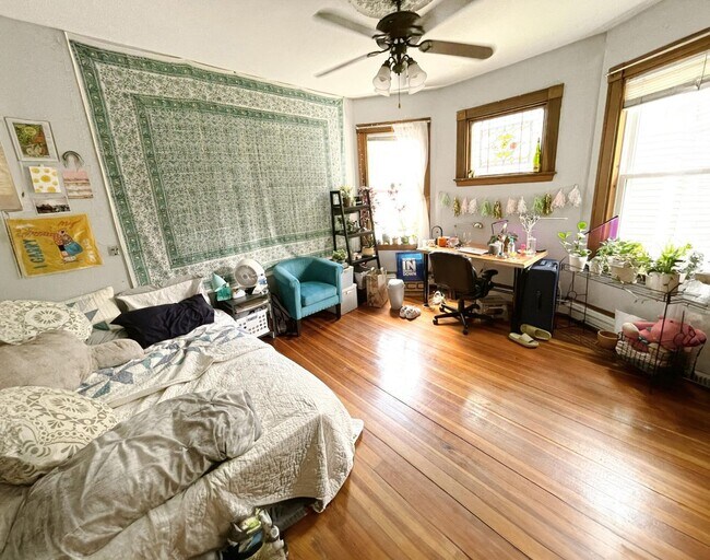 Foto del edificio - $500 rebate promo!  Cat-Negotiable Apt Near NEU with Laundry in Unit!  Tons of Sunlight