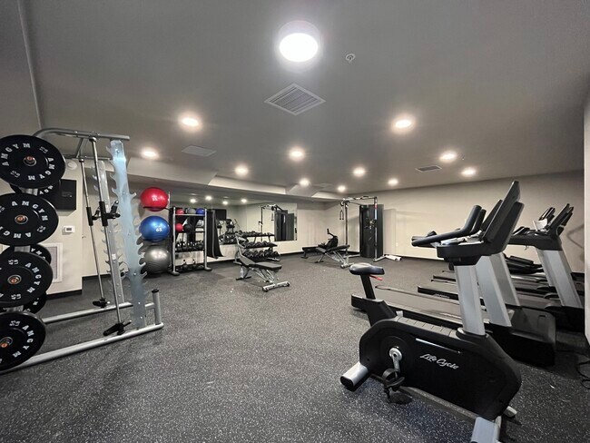 Gimnasio - Nova
