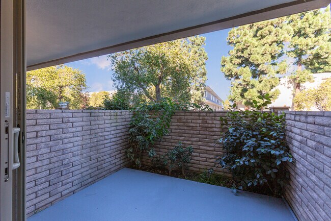 Great outdoor dining in Patio area - 4745 La Villa Marina