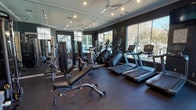 This single-floor fitness center offers a comprehensive workout environment designed to accommodate a wide range of exercise needs. The space is finished with dark, charcoal-toned walls that create a focused, gym-like atmosphere, complemented by crown molding and track lighting overhead. Ceiling fans are positioned throughout to promote air circulation during workouts.

The cardio zone features multiple treadmills and elliptical machines from Matrix, lined along a wall of expansive floor-to-ceiling windows that flood the space with natural light and offer direct views of an outdoor pool area and surrounding landscaping. A wall-mounted television is positioned for viewing during cardio sessions.

The strength training area is comprehensively stocked with cable machines, weight benches, a full dumbbell rack, and various resistance machines. Full-length mirrors cover multiple walls, visually expanding the space while allowing users to monitor their form throughout their workouts. An additional area near the entrance houses cycling bikes and supplementary equipment.

The flooring throughout consists of durable rubber gym matting, ideal for both heavy equipment and floor exercises. Access to the fitness center is provided through a glass-paned door, with a corridor connecting to adjacent amenity spaces. The facility is clean, organized, and thoughtfully laid out to maximize functionality and flow.