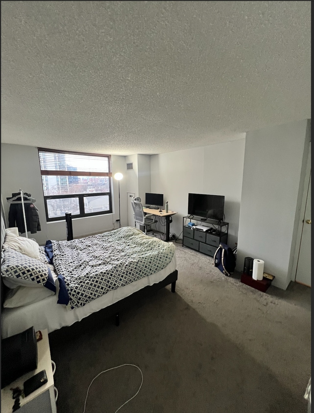 Primary Photo - 1250 N Dearborn St