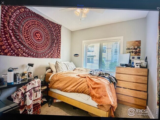 Foto del edificio - CU Boulder Prelease. Luxury Student Rental...