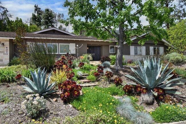 Building Photo - 4303 Bonavita Dr