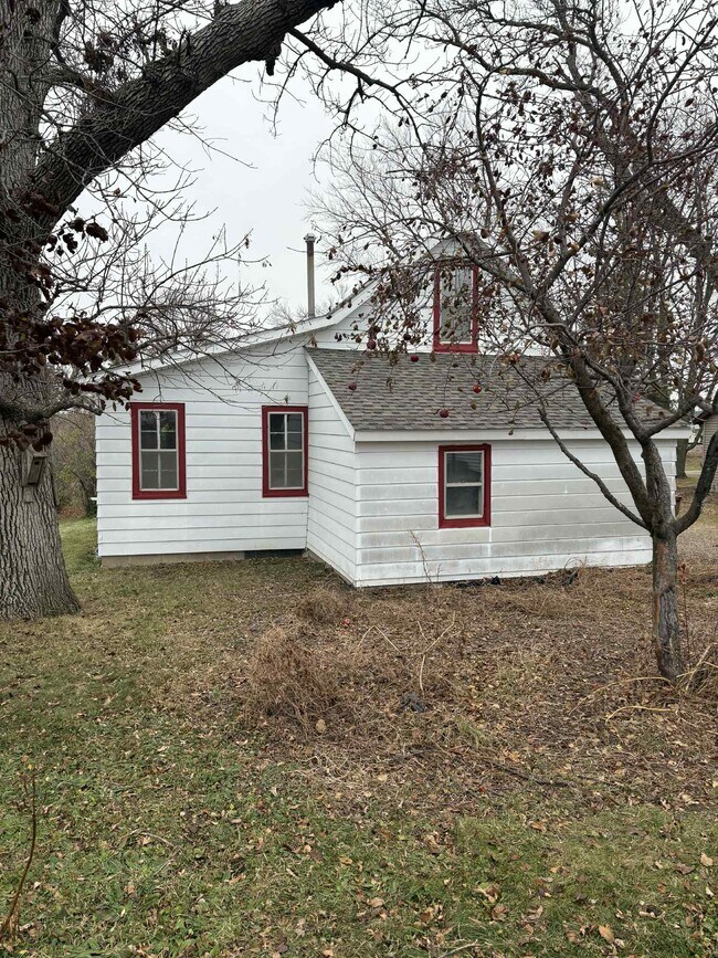 Parte trasera de la casa - 259 Elizabeth St