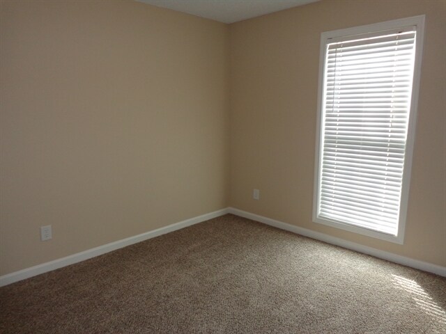 Building Photo - 1633 Amalie Dr