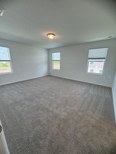 Foto del edificio - 4373 Switchgrass Ln