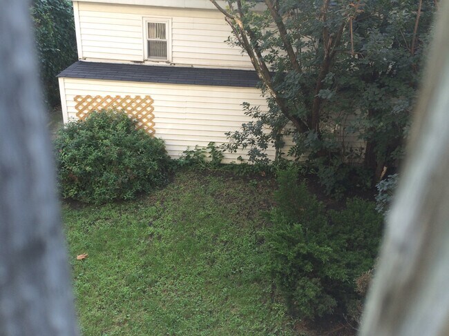 Foto del edificio - 3832 N Lakewood Ave