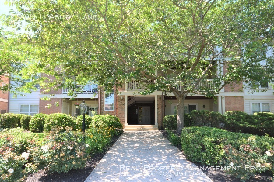 Primary Photo - Beautifully Remodeled Kingstowne Condo!
