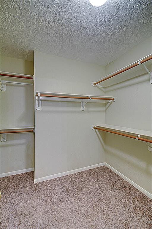 Building Photo - 7 N Spiral Vine Cir