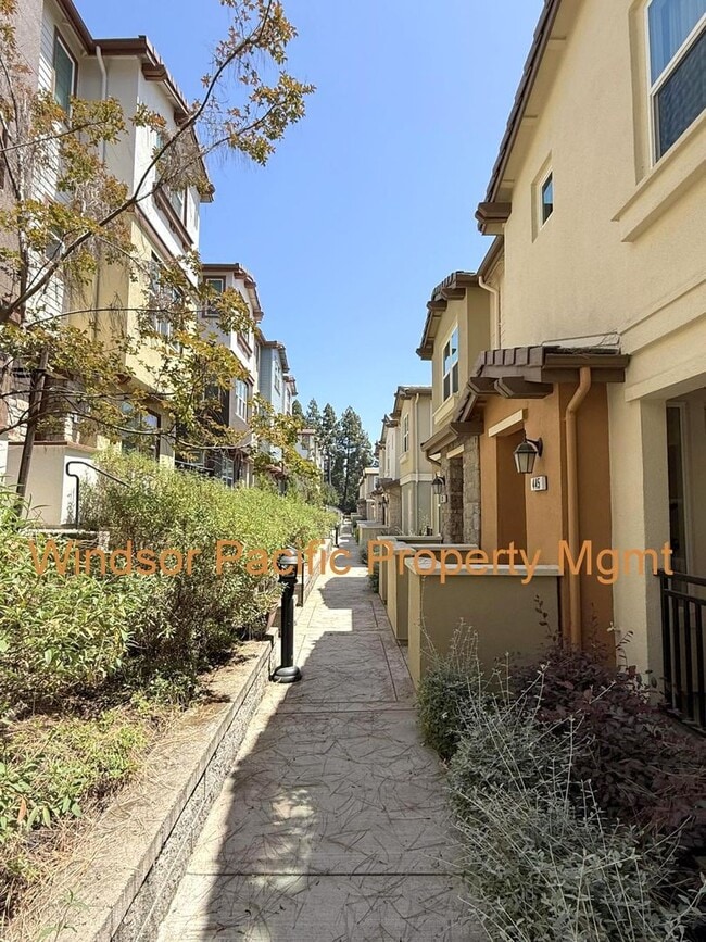Building Photo - Modern & Luxurious Ryan Terrace Townhouse ...