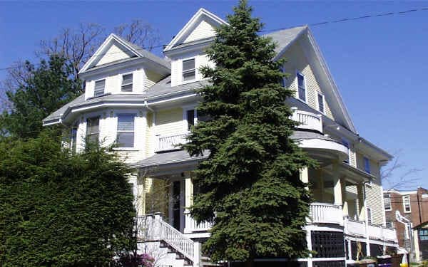 Primary Photo - 44 Lyndhurst St