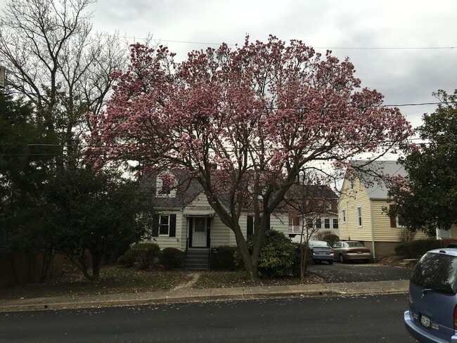 Cozy Cape Cod Home in Arlington - 146 S Barton St