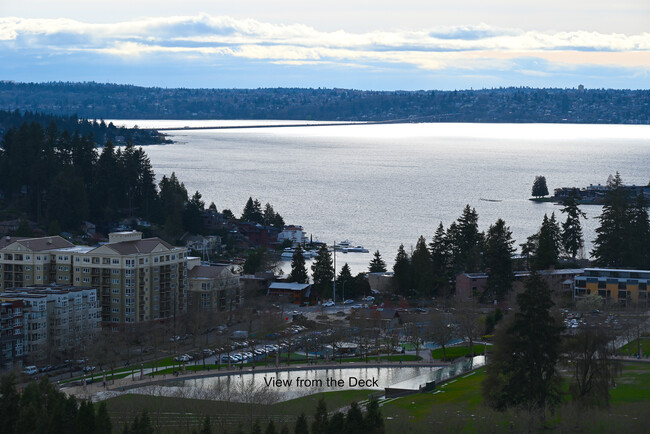 View from the Unit Deck - 10700 NE 4th St