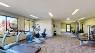 This fitness center at 4901 Wynnewood Rd in Harrisburg, Pennsylvania offers a well-equipped, single-floor exercise space designed to support a comprehensive workout routine. The room features a patterned carpet floor throughout and is illuminated by recessed rectangular fluorescent panel lighting in a clean white ceiling, creating a bright and energizing environment.

The cardio section is outfitted with True-brand treadmills, elliptical machines, and a stationary bike, all positioned to take advantage of the room's large windows and glass door entry, which provide views of the surrounding outdoor greenery. Natural light flows generously through these windows, enhancing the open, airy feel of the space.

The strength training area includes a multi-station cable machine, a leg press machine, a weight bench, and additional resistance equipment. A large wall-mounted mirror in the strength zone allows users to monitor their form during workouts. A wall-mounted television is also present near the cardio area for added convenience.

The walls are painted in a neutral sage green and cream palette, lending a calm, focused atmosphere to the space. Safety features including a fire extinguisher and clearly marked exit signage are present throughout. The room's elongated layout allows for comfortable movement between equipment stations, making it a practical and functional fitness facility.