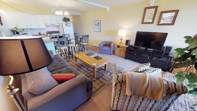 Building Photo - Winter Seasonal Rental- Lake Dillon Condos 210