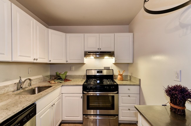 Updated Kitchen - 2939 Van Ness St NW