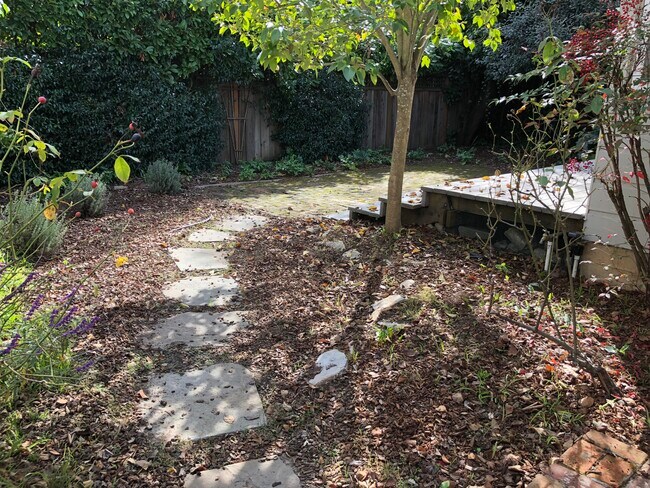 Patio trasero - 820 Palo Alto Ave