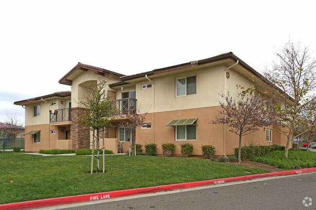 Tanager Springs II - Tanager Springs II Apartments