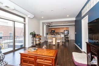 Little Italy Apartments For Rent Chicago Il