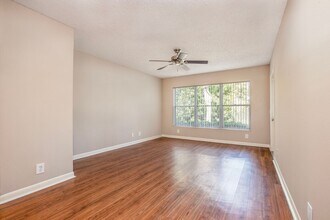 Interior Photo - Coral Falls