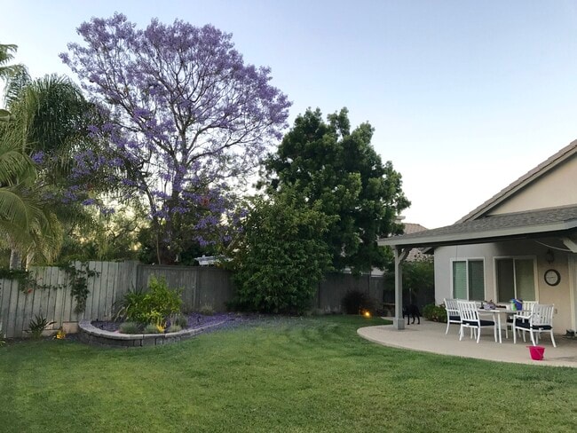 backyard - 9307 Diane Ave