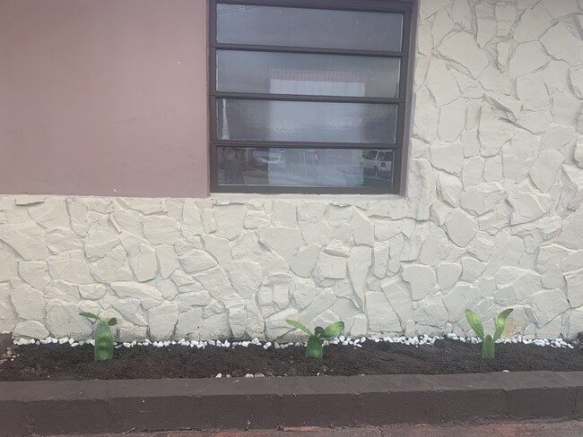 Cacti growing outside your door - 3442 NW 5th St